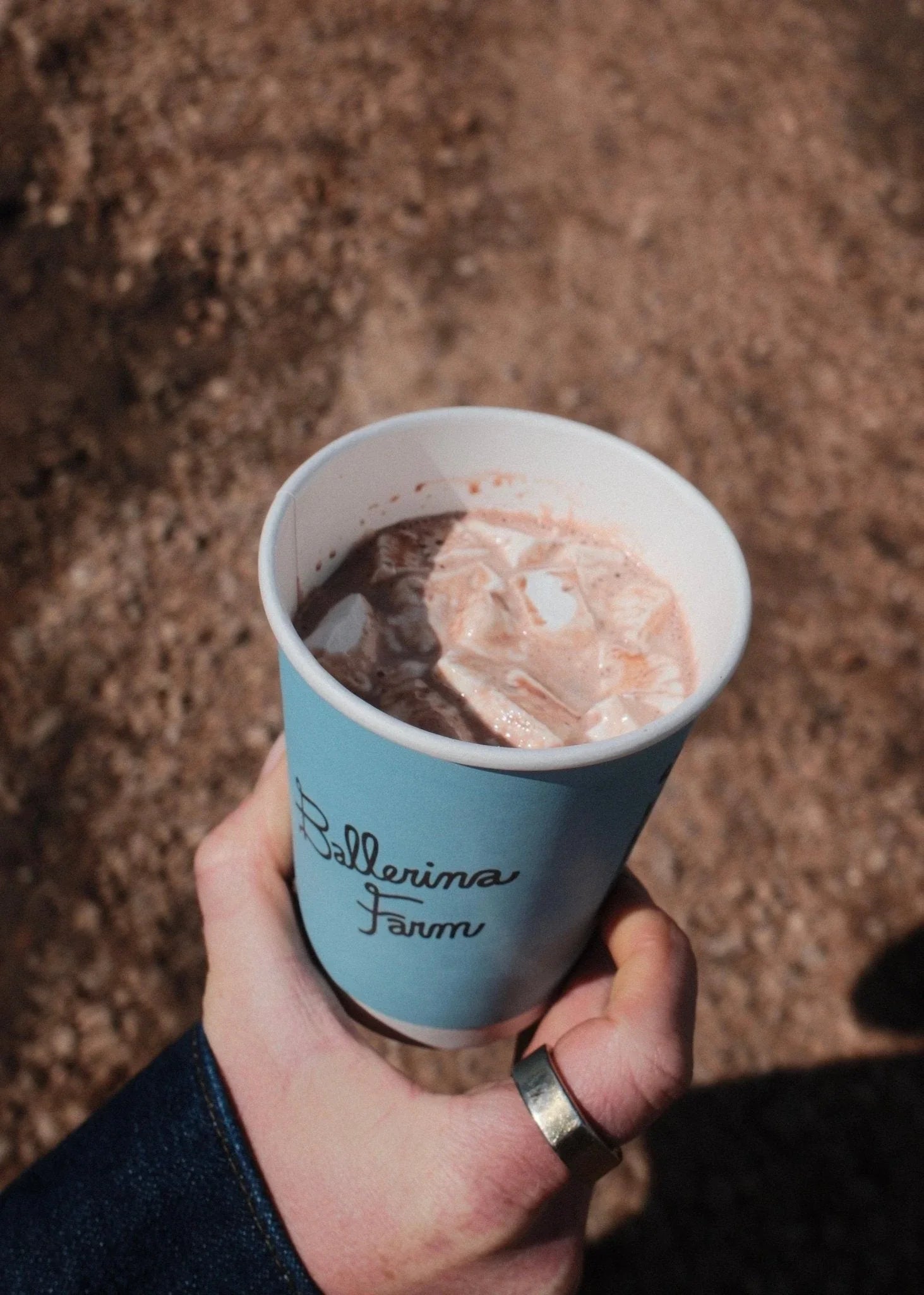 Creamy Protein Hot Chocolate